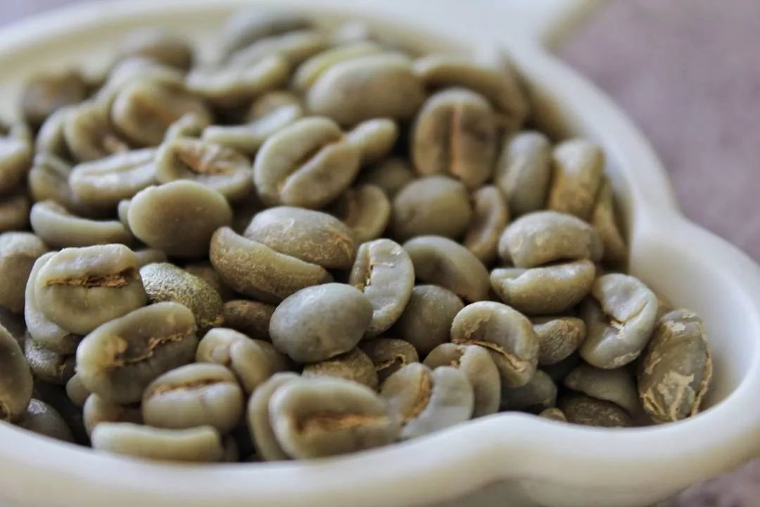 咖啡中的綠原酸是什么？